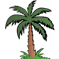 Palm Tree - Colour