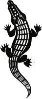 Alligator (#1)
