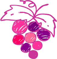 Sketched grapes