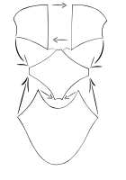Pattern ballet slipper