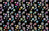 Prismatic Floral Design By Karen Arnold