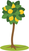 Lemon Tree