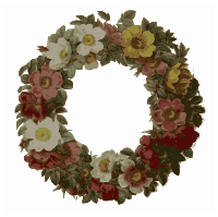 Redoute - Rose wreath - color