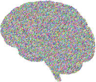 All Neurons On