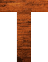 Wood texture alphabet T