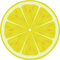 Lemon slice 2