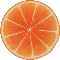 Orange slice 3