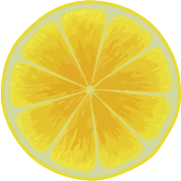 Lemon slice 3