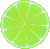 Lime slice 3