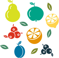 Fruit Pattern