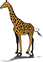 Giraffe (#1)