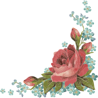 Bouquet Illustration
