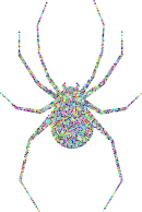 Prismatic Spider