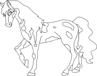 Horse 8 (line drawing)