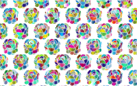 Chromatic Flowers Pattern