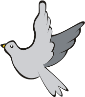Bird in flight 3