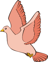 Bird in flight 4