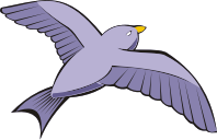 Bird in flight 6