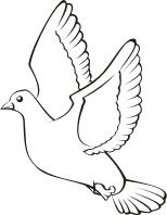 Bird in flight 4 (outline)