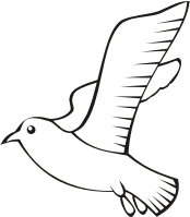 Bird in flight 5 (outline)