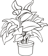 Potted plant 11 (outline)