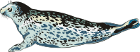 Seal 3