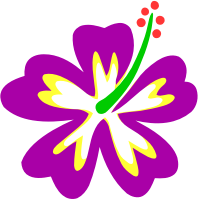 Flower 177 (colour)