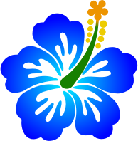Flower 178 (colour)