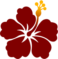 Flower 179 (colour)