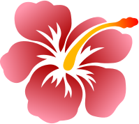 Flower 183 (colour)