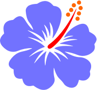 Flower 188 (colour)