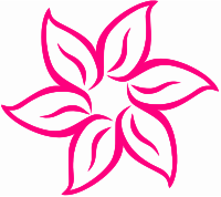 Pink Flower 