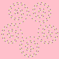 shape of misshape 