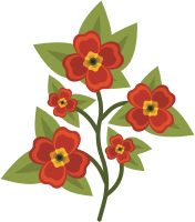 Pansy