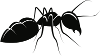 Ant (#1)