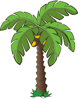 Palm tree 7