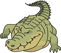 Crocodile