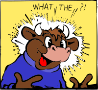 What The ?!? Cow