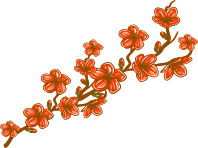 Blossom 2