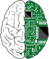 Cybernetic Brain
