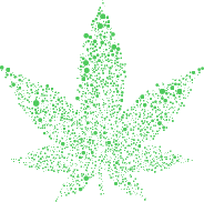 Circular Marijuana Leaf II