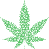 Marijuana Leaf Circles Prismatic 3