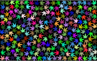 Prismatic Marijuana Background With Black