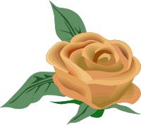Rose 26 (colour 2)