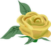 Rose 26 (colour 3)