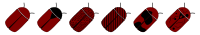 Insect color patterns - icon set