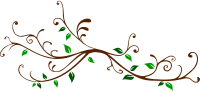 Branch 4