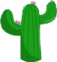 Cactus 4