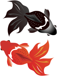 Goldfish