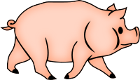 Pig 5